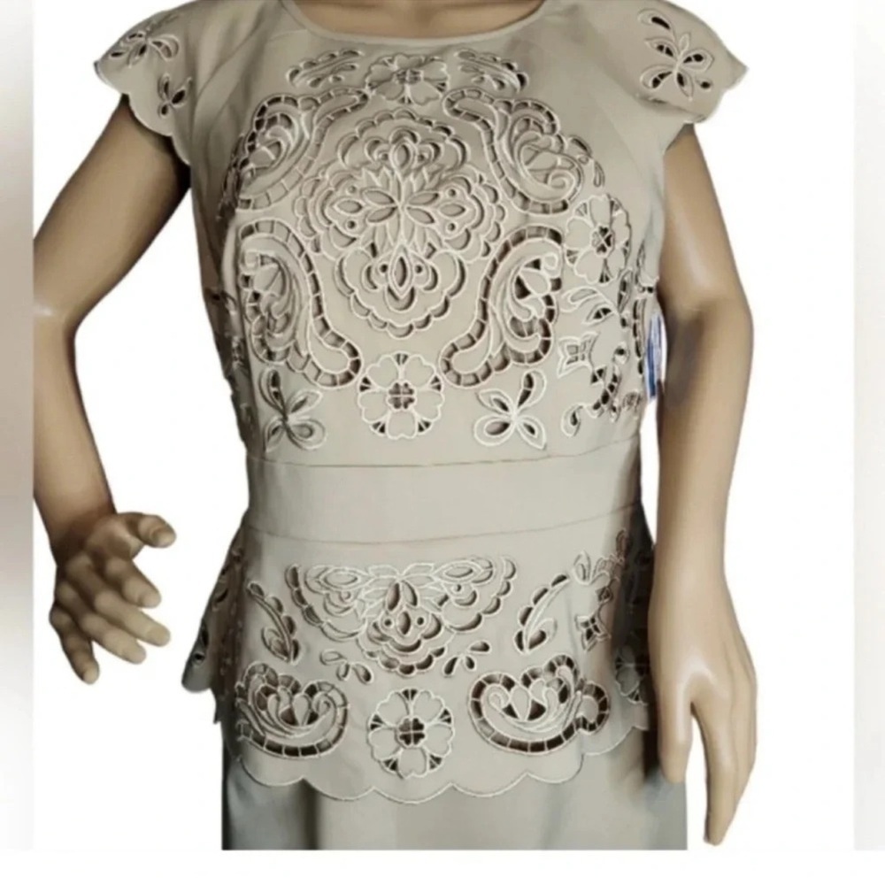 NWT Antonio Melani cutout  Embroidered Peplum Sheath Dress - Size 10 - Picture 3 of 7